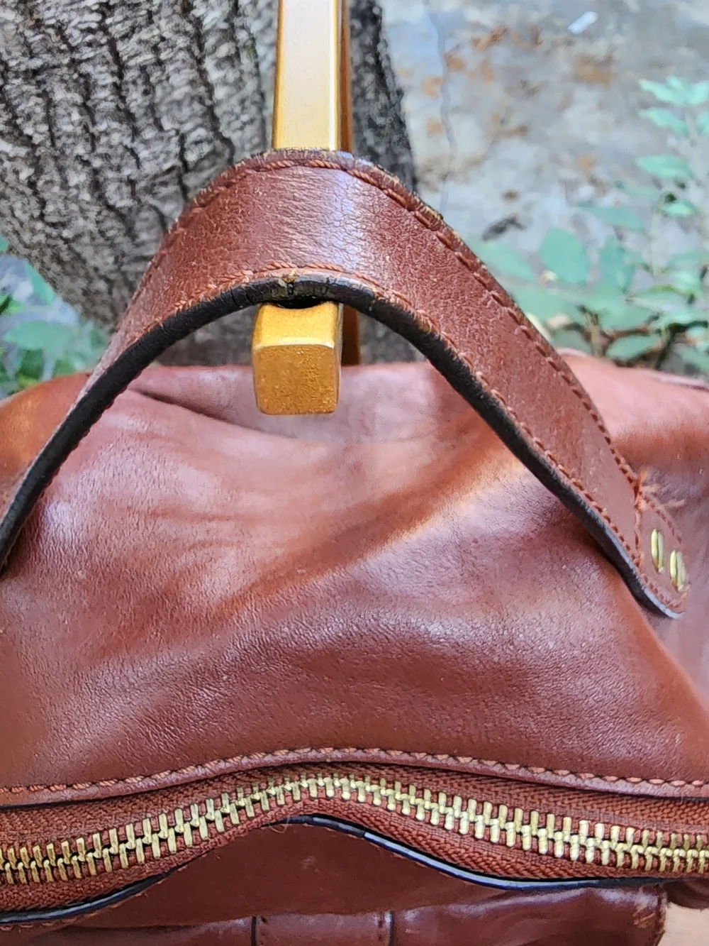 Frye Olivia Chocolate Brown Premium Leather Backpack Bag Medium